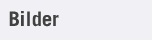 Bilder